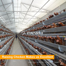 Ein Typ 4 Tier Chicken Layer Batterie Käfig für Tansania Geflügel Farm